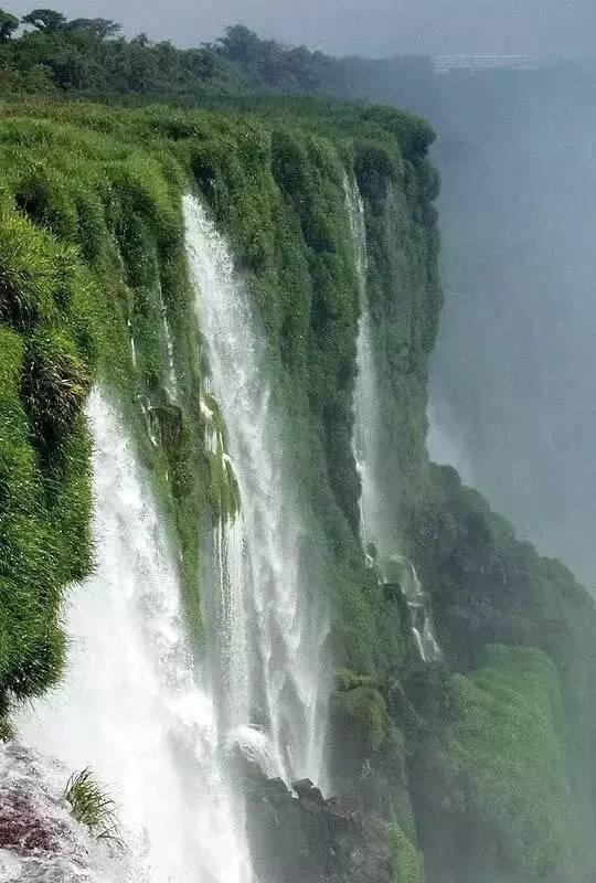 免费赠药需要写免责声明吗？其行为是如何定性的？游戏画面